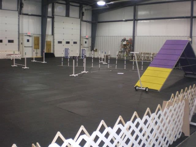 Obedience class photo