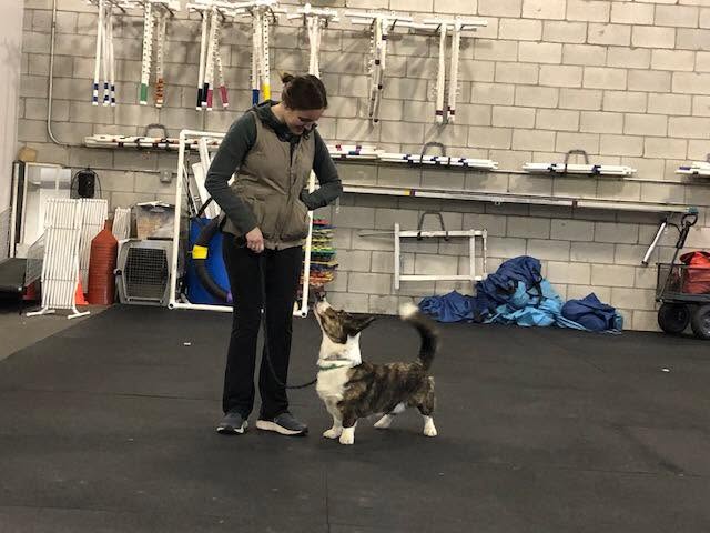 Training class photo