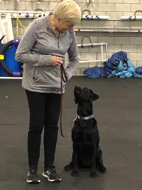 Canine Freestyle class photo